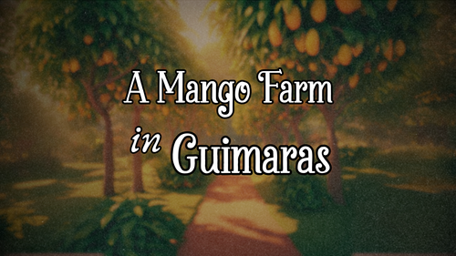 A Mango Farm in Guimaras post image