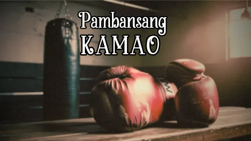 Pambansang Kamao post image
